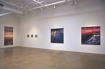 Casey Williams: Winter Light&nbsp;