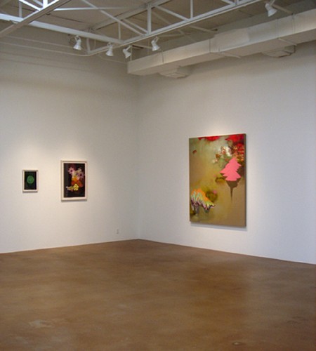 Jackie Tileston: Heterotopia - Installation View