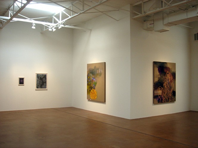 Jackie Tileston: Heterotopia - Installation View