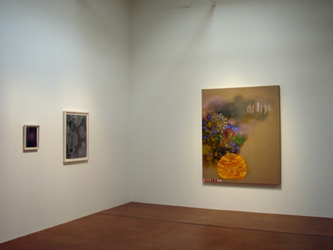 Jackie Tileston: Heterotopia - Installation View