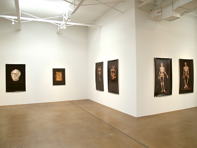 Alain Gerard Clement: A Decade of Photogenic Drawings - Installation View