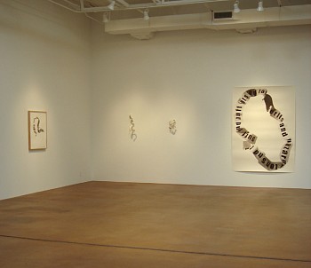 Randy Twaddle: A.M. in America 