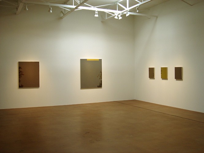 Janaki Lennie: Breathing Space - Installation View