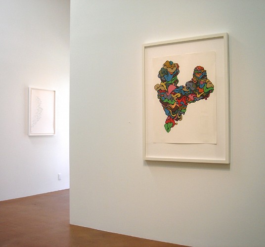Drawing Conclusions - Installation View