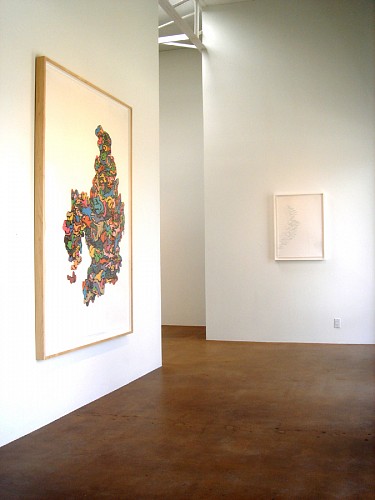 Drawing Conclusions - Installation View