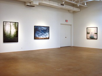 Dornith Doherty: Altered Terrain 