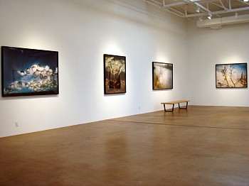 Dornith Doherty: Altered Terrain 