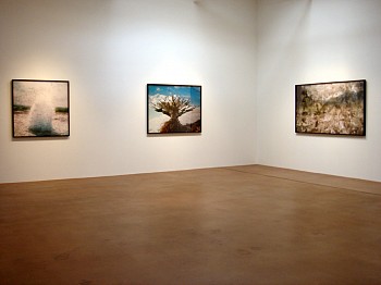 Dornith Doherty: Altered Terrain 