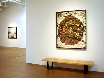 Dornith Doherty: Altered Terrain 