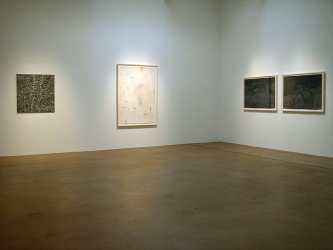 Delineation, February 2008 - Installation View