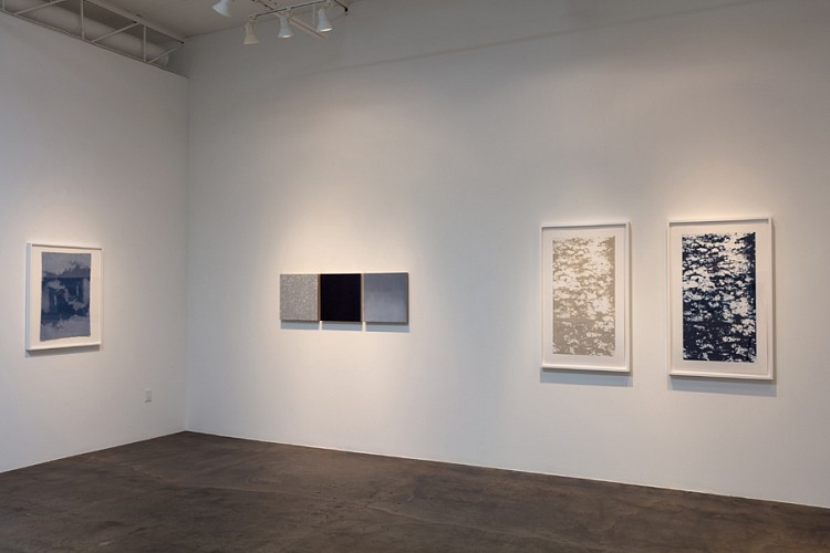 Joan Winter: Edge of Light - Installation View