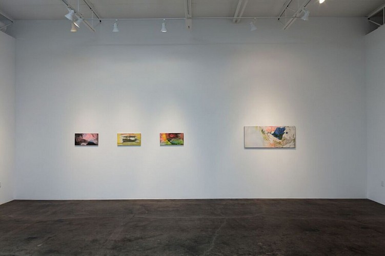 Michelle Mackey: Double Take  - Installation View