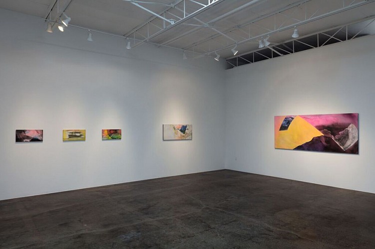 Michelle Mackey: Double Take  - Installation View