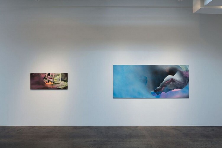 Michelle Mackey: Double Take  - Installation View