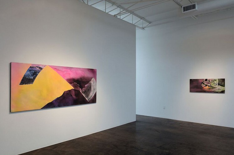 Michelle Mackey: Double Take  - Installation View