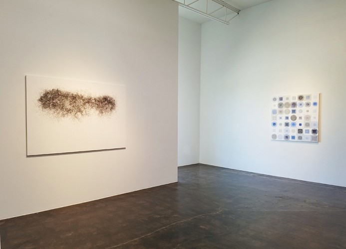John Adelman - Drawing: Attn - Installation View