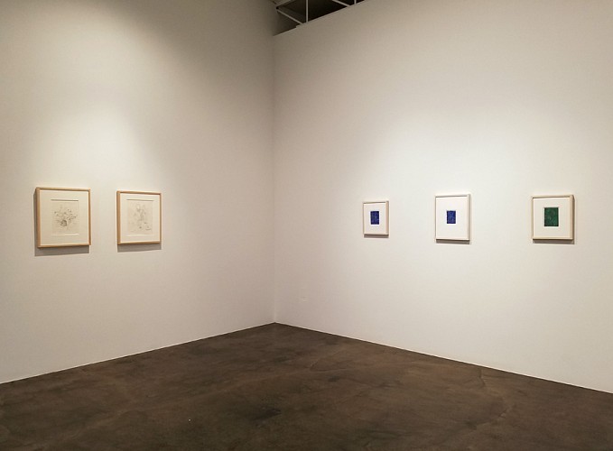 Gael Stack: Tinies - Installation View