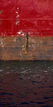 Casey Williams: Winter Light&nbsp;