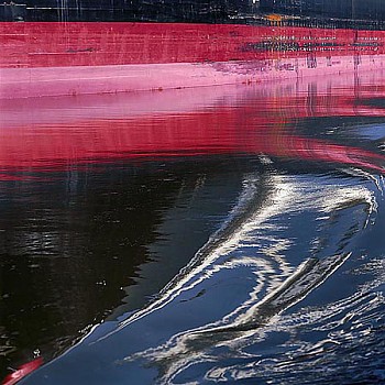 Casey Williams: Winter Light&nbsp;