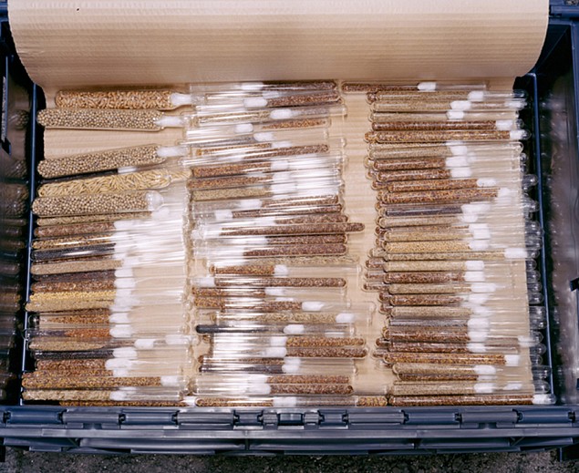 News: PRESS RELEASE: Dornith Doherty in  "Big Botany", March 26, 2018 - Spencer Museum of Art at The University of Kansas