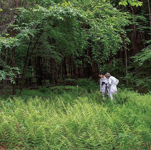 News: ARTICLE: Dornith Doherty in PaperCity Magazine , July 20, 2018 - Catherine Anspon