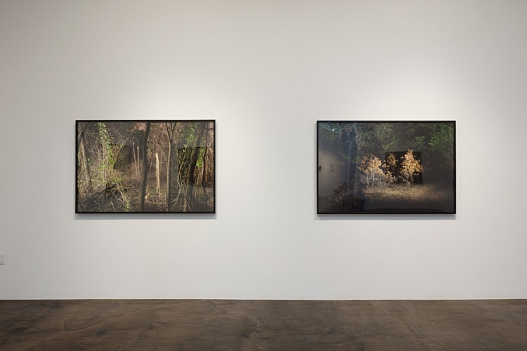 DELUGE: New Work by Dornith Doherty - Installation View