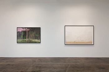 DELUGE: New Work by Dornith Doherty&nbsp;