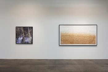 DELUGE: New Work by Dornith Doherty&nbsp;