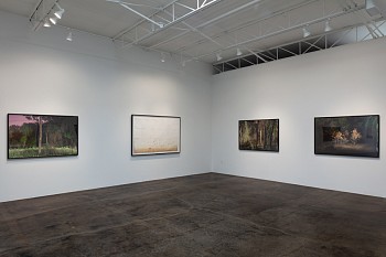 DELUGE: New Work by Dornith Doherty&nbsp;