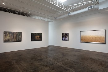 DELUGE: New Work by Dornith Doherty&nbsp;