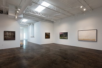 DELUGE: New Work by Dornith Doherty&nbsp;