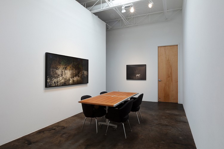 DELUGE: New Work by Dornith Doherty - Installation View