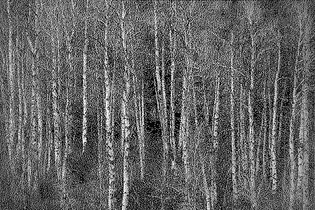 William Betts, Aspens, 2012
Acrylic paint on reverse drilled mirror acrylic; Ed. 2/3, 48 x 71 in.
WBE-138