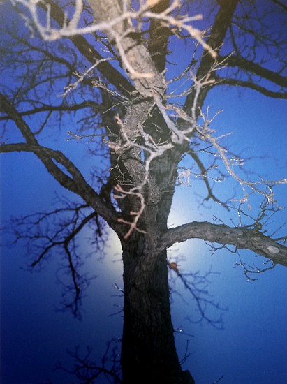 Casey Williams, Untitled (M 82.23), 2008
UV Curable Ink on Dibond, 32 x 24 in.
CWI-093