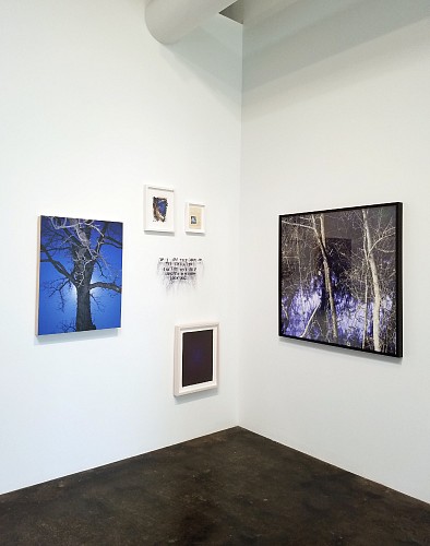 Summertime Blues: Collages, Drawings, Paintings, Photography, Sculpture, and Prints - Installation View