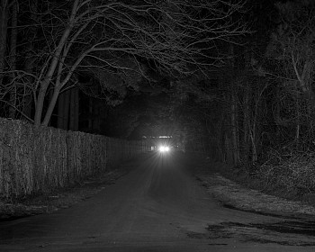 Work: Russian Dacha / Pioneer Point