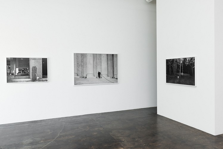 Mike Osborne: Federal Triangle  - Installation View