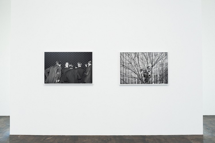 Mike Osborne: Federal Triangle  - Installation View