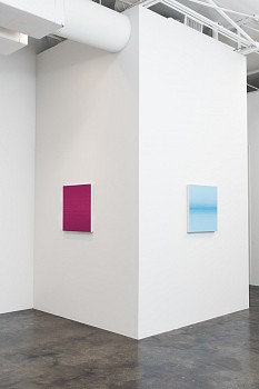 Anna Bogatin Ott: The Nature of Things 