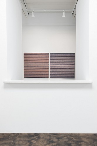 Anna Bogatin Ott: The Nature of Things - Installation View