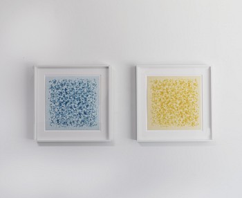 Joan Winter: COLOR+LIGHT&nbsp;