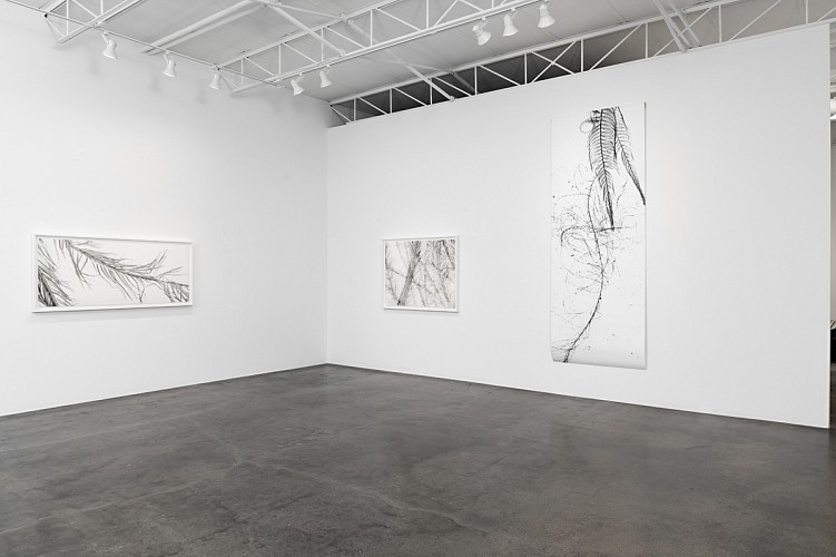 Dornith Doherty: Atlas of the Invisible - Installation View
