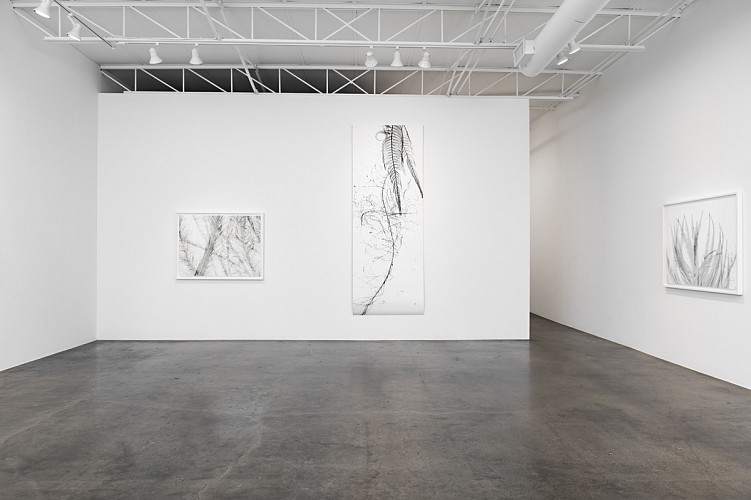 Dornith Doherty: Atlas of the Invisible - Installation View