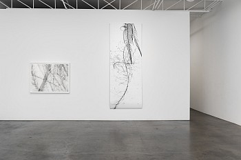 Dornith Doherty: Atlas of the Invisible&nbsp;