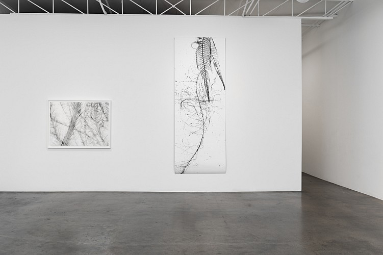 Dornith Doherty: Atlas of the Invisible - Installation View