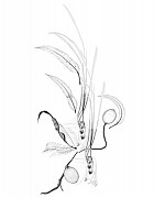 Dornith Doherty News: ARTICLE: Dornith Doherty in Antennae #52, October 1, 2020 - Katherine Ryckman Siegwarth