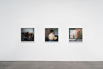 Misty Keasler: Sanctuary Dispatches&nbsp;