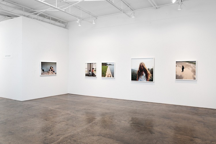 Misty Keasler: Sanctuary Dispatches  - Installation View