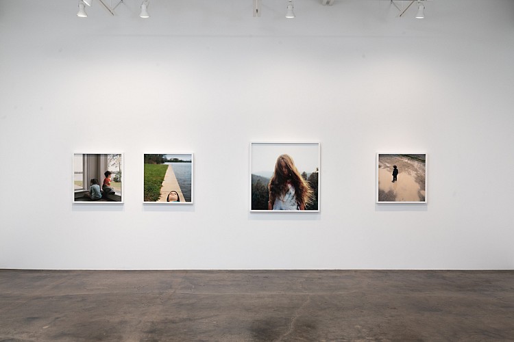 Misty Keasler: Sanctuary Dispatches  - Installation View