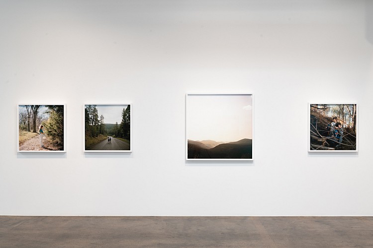 Misty Keasler: Sanctuary Dispatches  - Installation View